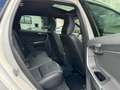 Volvo XC60 Summum Leder - Navi - Panoramadach /// Weiß - thumbnail 19