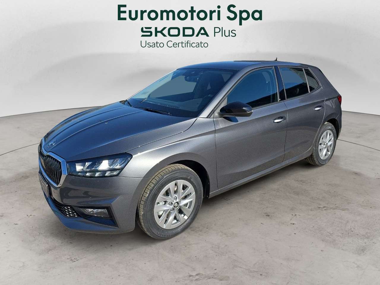 Skoda Fabia Fabia 1.0 tsi Young Edition 115cv dsg
