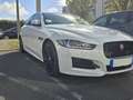 Jaguar XE XE 2.0 D - 180 ch BVA AWD R-Sport Blanc - thumbnail 4
