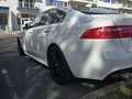 Jaguar XE XE 2.0 D - 180 ch BVA AWD R-Sport Blanc - thumbnail 6