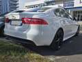 Jaguar XE XE 2.0 D - 180 ch BVA AWD R-Sport Blanc - thumbnail 5