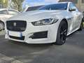 Jaguar XE XE 2.0 D - 180 ch BVA AWD R-Sport Blanc - thumbnail 2