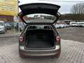 Volkswagen Golf Plus VI 1.4i Klimaauto. SHZ PDC Temp. 8xRad Maro - thumbnail 8
