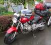 Honda Hornet Honda Hornet (CB 600 F / PC34) rot Rouge - thumbnail 1