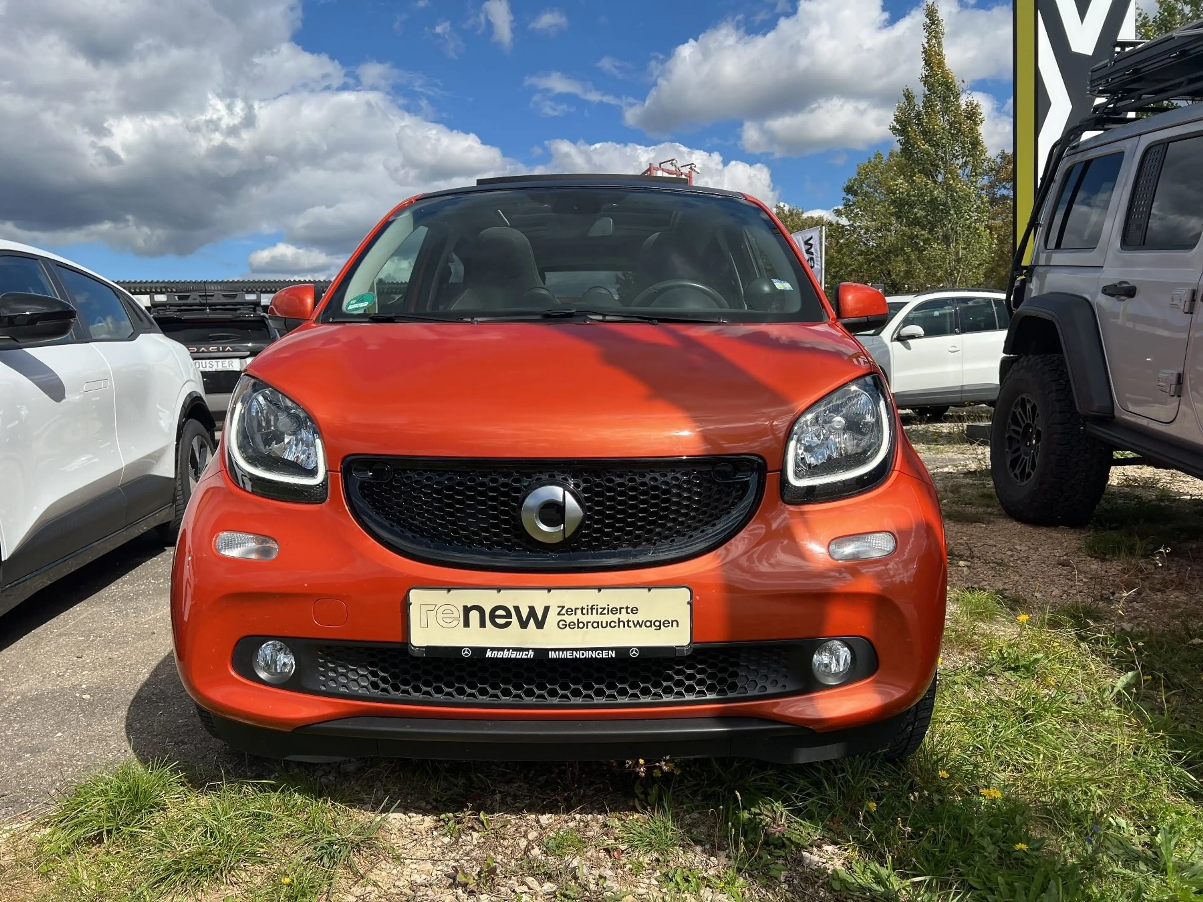 smart forFour passion Faltdach — photo 9