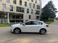 Chevrolet Cruze Cruze hatchback 2.0 TDCi LTZ Blanc - thumbnail 8