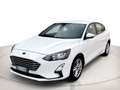 Ford Focus 1.5 ecoblue Business s&s 120cv Bianco - thumbnail 1