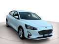 Ford Focus 1.5 ecoblue Business s&s 120cv Wit - thumbnail 2
