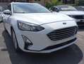 Ford Focus SW 1.5 EcoBlue 120CV Titanium Aut. Blanco - thumbnail 4