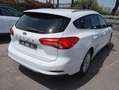 Ford Focus SW 1.5 EcoBlue 120CV Titanium Aut. Blanco - thumbnail 6