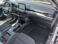 Ford Focus SW 1.5 EcoBlue 120CV Titanium Aut. Blanco - thumbnail 14
