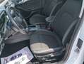Ford Focus SW 1.5 EcoBlue 120CV Titanium Aut. Blanco - thumbnail 18