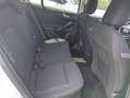 Ford Focus SW 1.5 EcoBlue 120CV Titanium Aut. Blanco - thumbnail 12