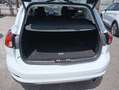 Ford Focus SW 1.5 EcoBlue 120CV Titanium Aut. Blanco - thumbnail 11