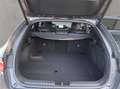 Kia ProCeed / pro_cee'd ProCeed 1.5 T-GDI GT-Line Grau - thumbnail 19
