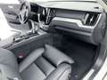 Volvo XC60 B4 (bz) 197CV FWD PLUS DARK Bianco - thumbnail 10