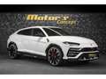 Lamborghini Urus V8 - BIANCO ICARUS METALLIC Weiß - thumbnail 7