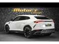 Lamborghini Urus V8 - BIANCO ICARUS METALLIC Weiß - thumbnail 6
