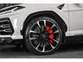 Lamborghini Urus V8 - BIANCO ICARUS METALLIC Weiß - thumbnail 12
