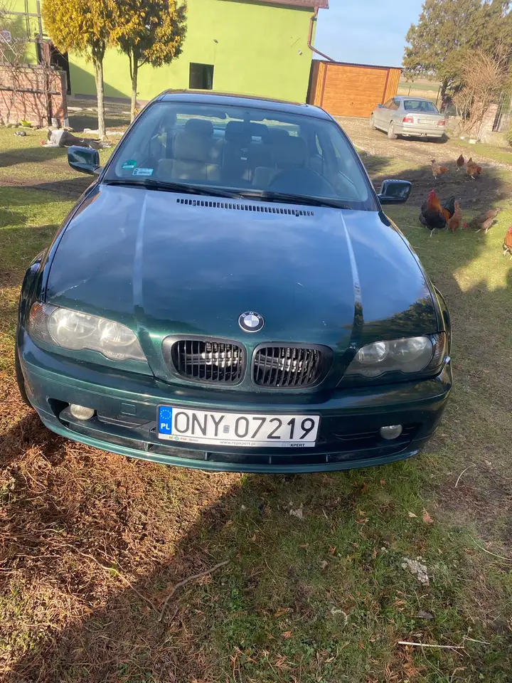 BMW 323