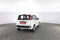 Fiat Panda 1.0 FireFly S&S Hybrid Bianco - thumbnail 4