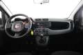 Fiat Panda 1.0 FireFly S&S Hybrid Bianco - thumbnail 10