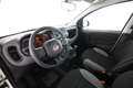 Fiat Panda 1.0 FireFly S&S Hybrid Bianco - thumbnail 7