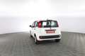 Fiat Panda 1.0 FireFly S&S Hybrid Bianco - thumbnail 5