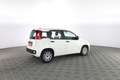 Fiat Panda 1.0 FireFly S&S Hybrid Bianco - thumbnail 3