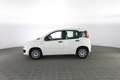 Fiat Panda 1.0 FireFly S&S Hybrid Bianco - thumbnail 6