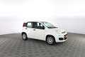 Fiat Panda 1.0 FireFly S&S Hybrid Bianco - thumbnail 2