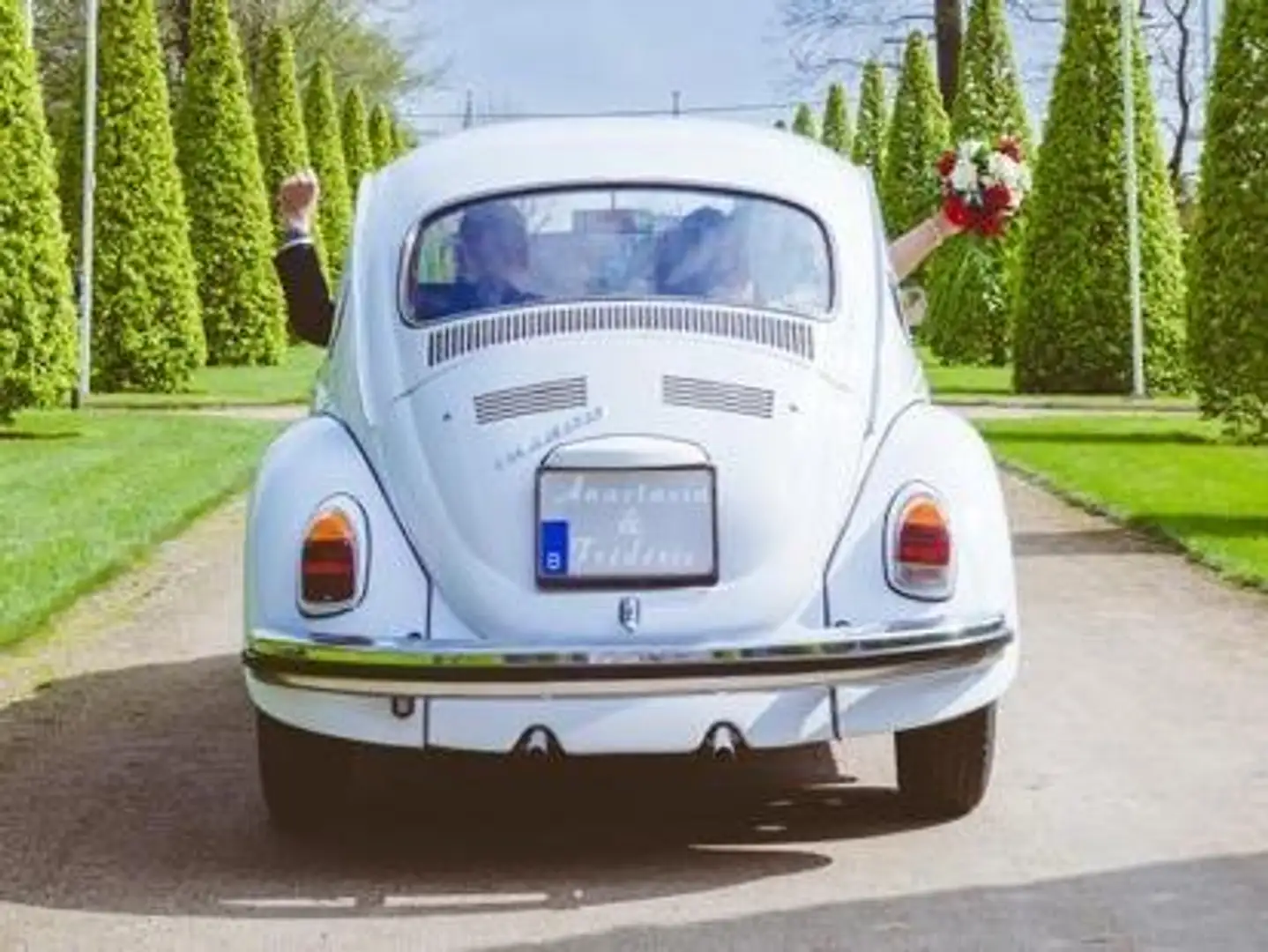 Volkswagen Coccinelle Wit - 2