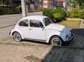 Volkswagen Coccinelle Wit - thumbnail 1