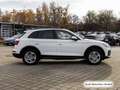 Audi Q5 40 TFSI qu. S tronic S line AHK/Matrix/Virtua Weiß - thumbnail 6