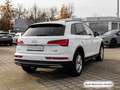 Audi Q5 40 TFSI qu. S tronic S line AHK/Matrix/Virtua Weiß - thumbnail 7