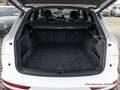 Audi Q5 40 TFSI qu. S tronic S line AHK/Matrix/Virtua Weiß - thumbnail 23