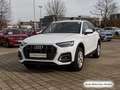 Audi Q5 40 TFSI qu. S tronic S line AHK/Matrix/Virtua Weiß - thumbnail 4