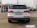 Audi Q5 40 TFSI qu. S tronic S line AHK/Matrix/Virtua Weiß - thumbnail 8
