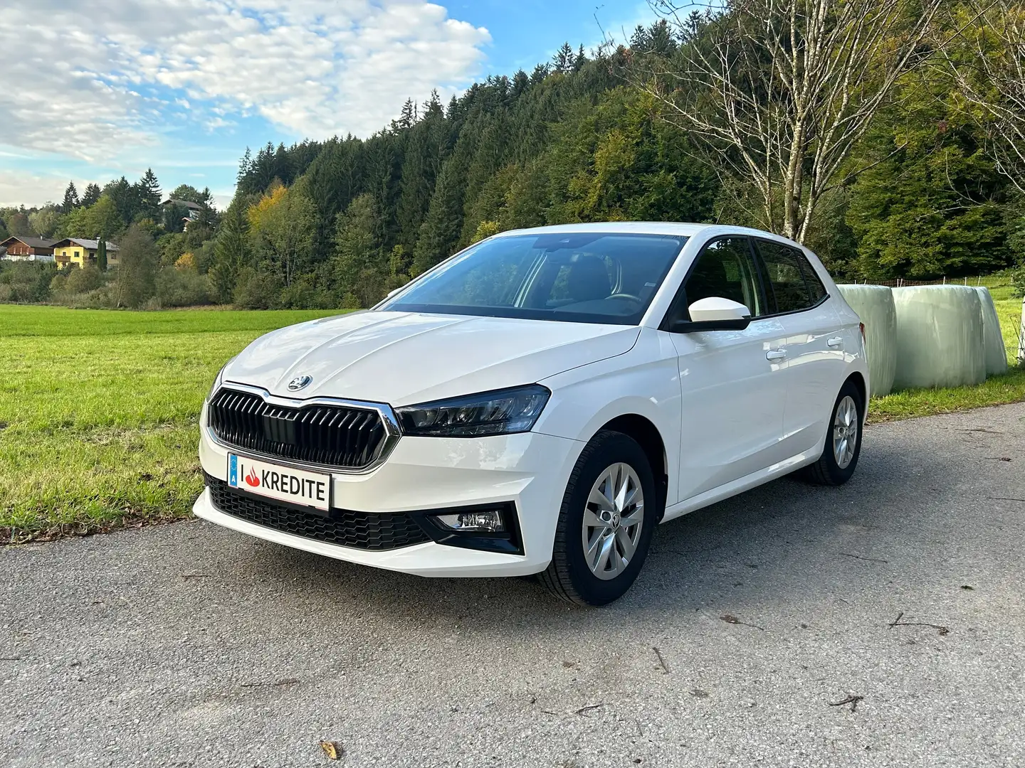 Skoda Fabia 8fach Bereift & möglicher SOFORTFINANZIERUNG !! Weiß - 1