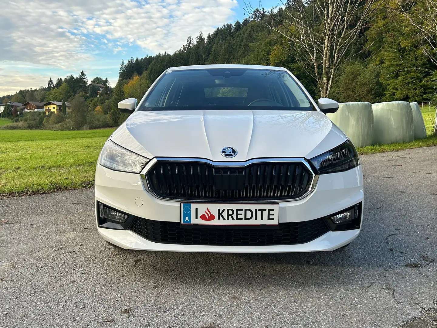 Skoda Fabia 8fach Bereift & möglicher SOFORTFINANZIERUNG !! Weiß - 2