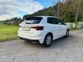 Skoda Fabia 8fach Bereift & möglicher SOFORTFINANZIERUNG !! Weiß - thumbnail 3