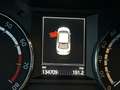 Skoda Octavia Octavia III 2.0 TSI (Green tec) DSG RS Grau - thumbnail 12