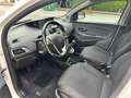 Lancia Ypsilon 1.0 FireFly 5 porte S&S Hybrid Gold Bianco - thumbnail 8