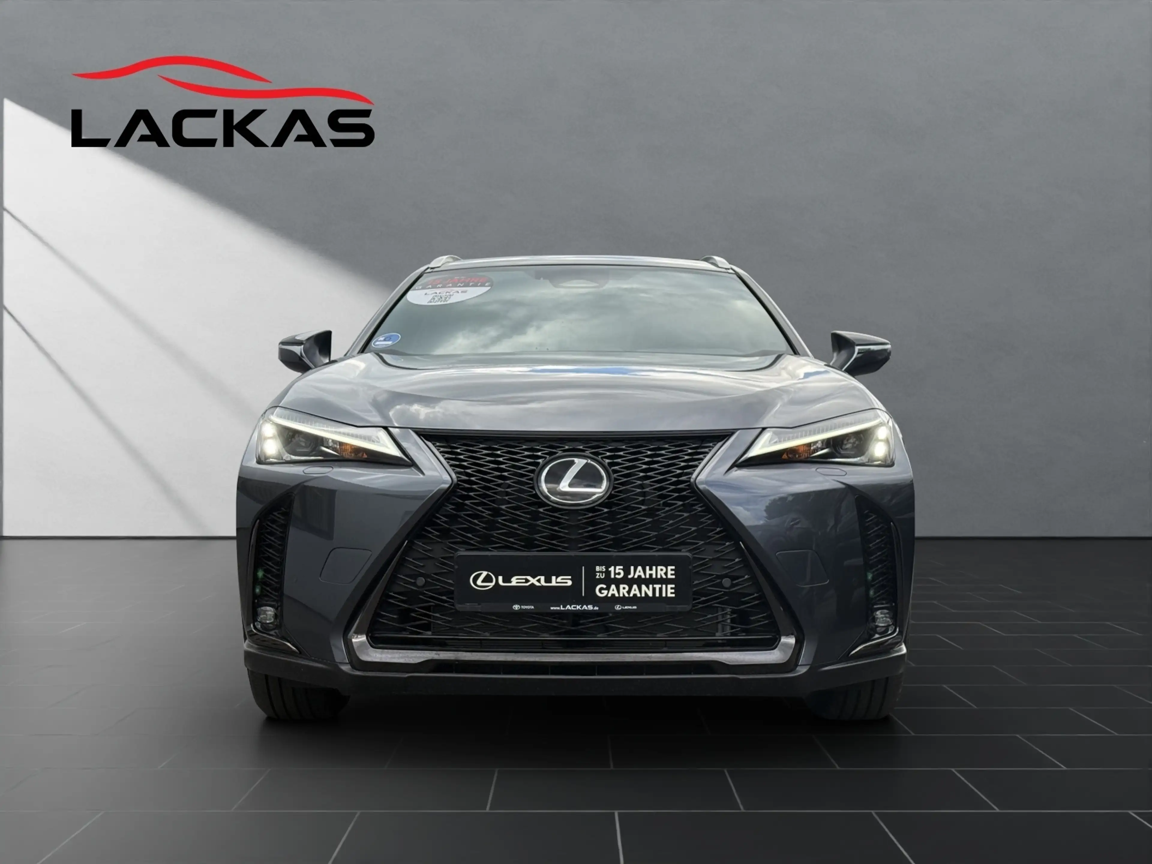 Lexus UX 250h 300 h F Sport Design Tech-Paket — photo 8