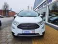 Ford EcoSport 1.0 EcoBoost Titanium / Stoelverwarming / stuurver Wit - thumbnail 2
