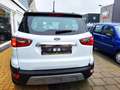 Ford EcoSport 1.0 EcoBoost Titanium / Stoelverwarming / stuurver Wit - thumbnail 5