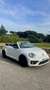 Volkswagen Beetle Cabrio 2.0TDI Beetlemanía 110 - thumbnail 1