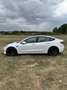 Tesla Model 3 Model 3 Allradantrieb Performance + Winterreifen Weiß - thumbnail 4