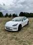 Tesla Model 3 Model 3 Allradantrieb Performance + Winterreifen Weiß - thumbnail 3