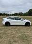 Tesla Model 3 Model 3 Allradantrieb Performance + Winterreifen Weiß - thumbnail 8